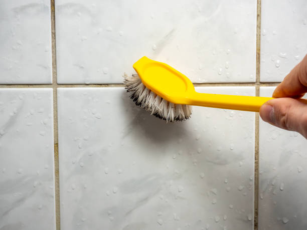 Best Office Mold Removal Services  in Georgetown, DE