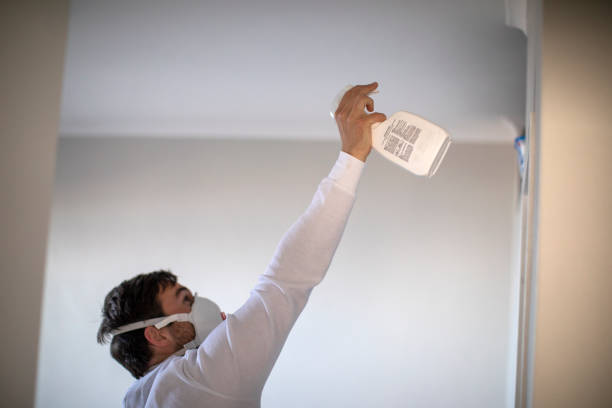 Best Mold Remediation Services  in Georgetown, DE