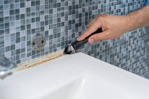 Best Fast Mold Removal  in Georgetown, DE