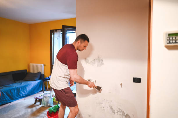 Best Emergency Mold Removal  in Georgetown, DE