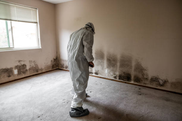 Best Professional Mold Removal  in Georgetown, DE